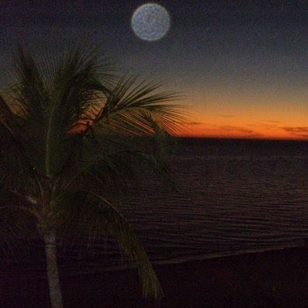 Meet your Posher, Judy